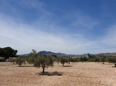 Plots for sale in Sax, Alicante, Spain