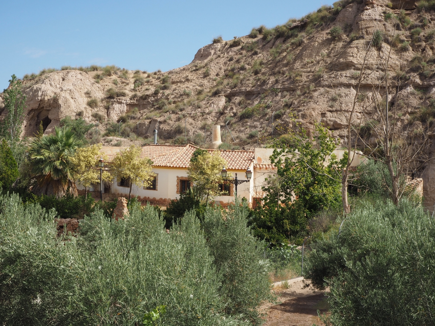 Property 24