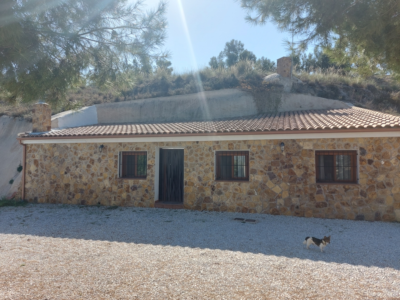 Property 21